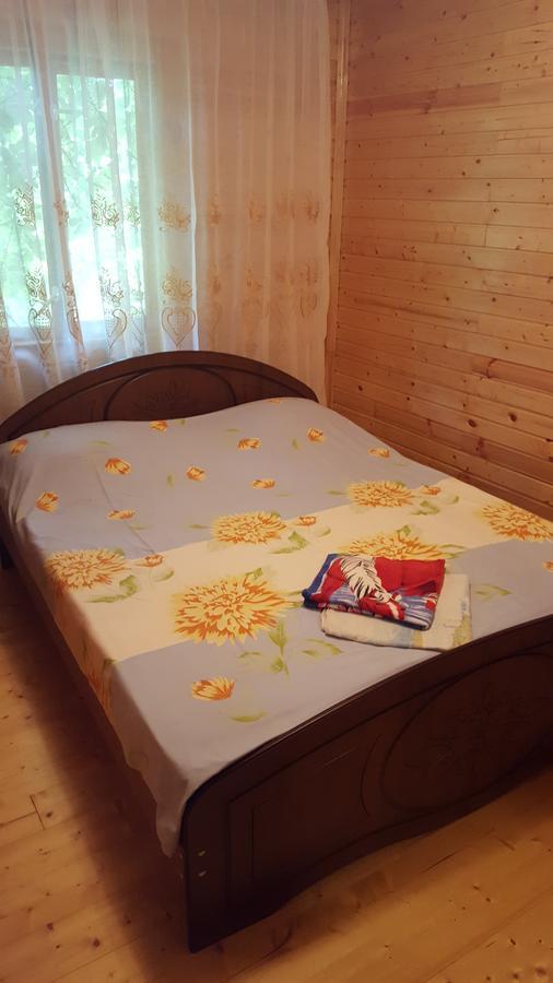 U Iriny Hotel 피준다 외부 사진