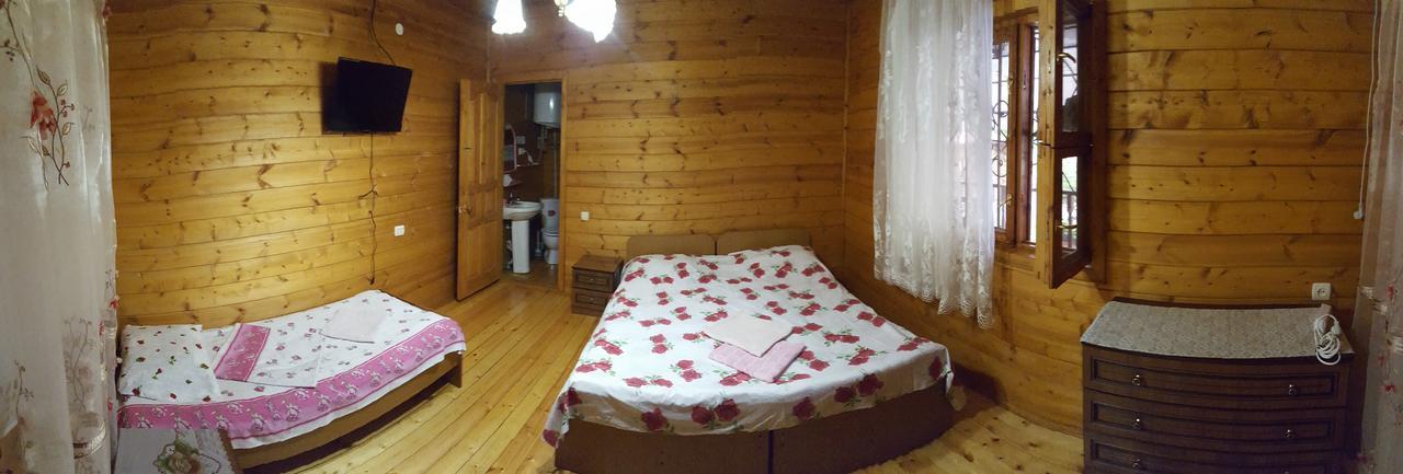 U Iriny Hotel 피준다 외부 사진