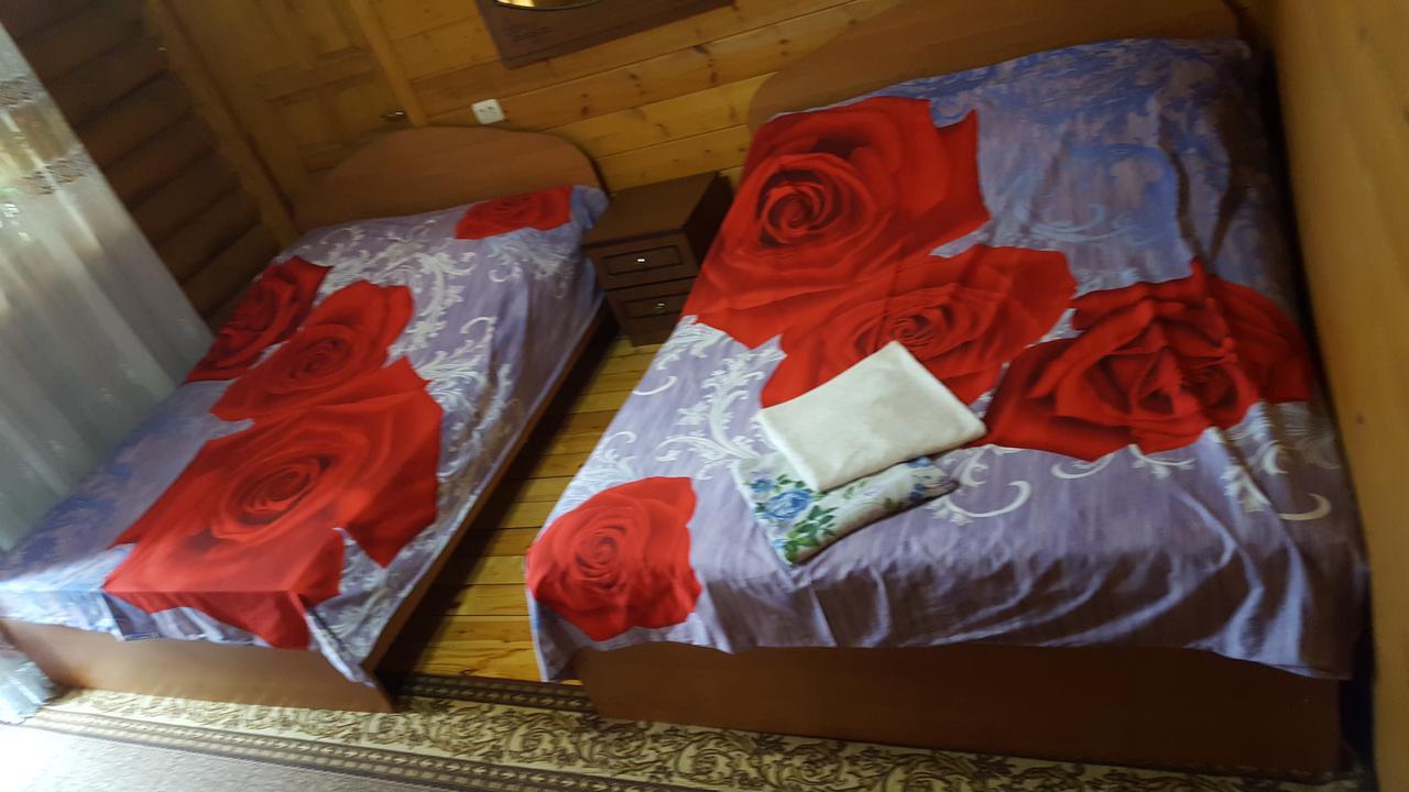 U Iriny Hotel 피준다 외부 사진